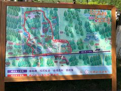 -黄海国家森林公园