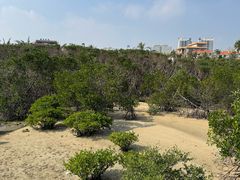 -霞山观海长廊