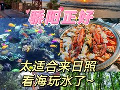 -日照海滨国家森林公园
