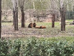 -秦皇岛野生动物园