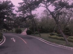 -棒棰岛宾馆景区
