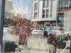 -隹木咖啡馆(宝龙广场店)