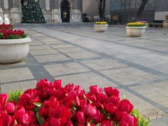 -王府井天主教堂