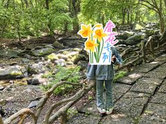 -香炉山国家森林公园