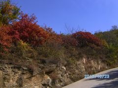 -鲁山国家森林公园