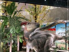 -湖南省地质博物馆