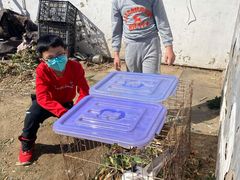 -大自然农场蔬菜草莓采摘园