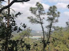 -田心森林公园