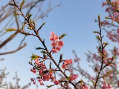 -东方绿舟景区