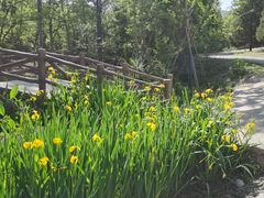 -白水寺森林公园