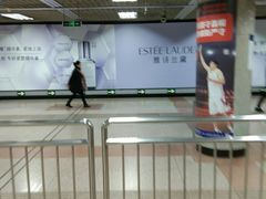 -大望路(地铁站)