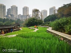 -龙头寺公园