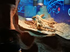 -上海昆虫博物馆