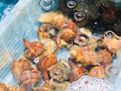 -吉友粥底火锅(方斜路店)