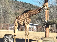 -大连森林动物园