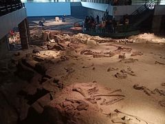 -自贡恐龙博物馆