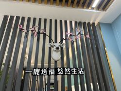 -小阿福儿童摄影(华中智谷店)