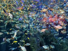 -成都浩海立方海洋公园
