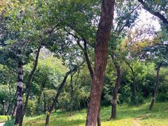 -元大都城垣遗址公园