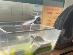 -瑞派长江宠物医院·猫科·外科·24小时夜护(谊城公寓分院)
