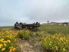 -青岛银沙滩
