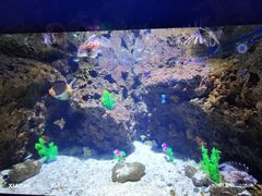 -南昌融创海世界