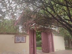 -庾园