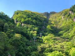 -牛背梁国家森林公园