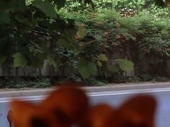 -7号里低糖生日蛋糕(南阳路店)