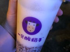 -一只酸奶牛(奎星楼店)