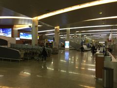 -谢列梅捷沃国际机场