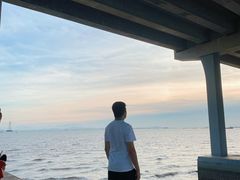 -宝安西湾红树林湿地公园