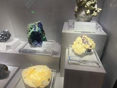 -湖南省地质博物馆