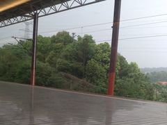 -岳阳东站
