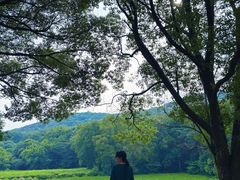 -南山风景名胜区