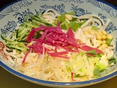 -大海碗·炸酱面·烤鸭·京菜(天坛店)