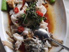 鲜花椒蒸笋壳鱼-侨美·唐荔园·40年地道粤菜