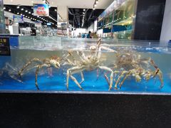 水产区-神洲四海大酒楼(王府井澳门中心店)