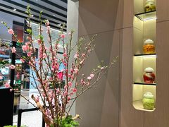 -许家菜(DT51店)