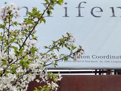 -龙美术馆(西岸馆)