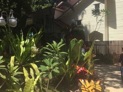 -东姑阿都拉曼海洋公园