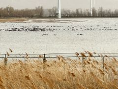 -野鸭湖国家湿地公园