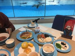 -帝企鹅自助餐厅•儿童岛•真企鹅(长隆企鹅酒店)