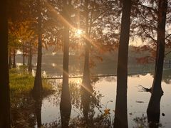 -贡湖湾湿地公园