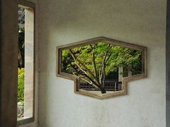 -杭州植物园