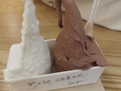 -野人先生Gelato(上海长宁龙之梦店)