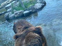 -北京野生动物园