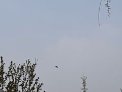 -南翠屏公园