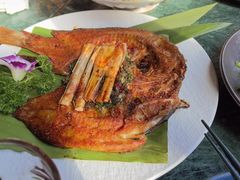 -紫滇源云南生态菜(丹凤街店)