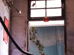 -花楸树下(观水路店)